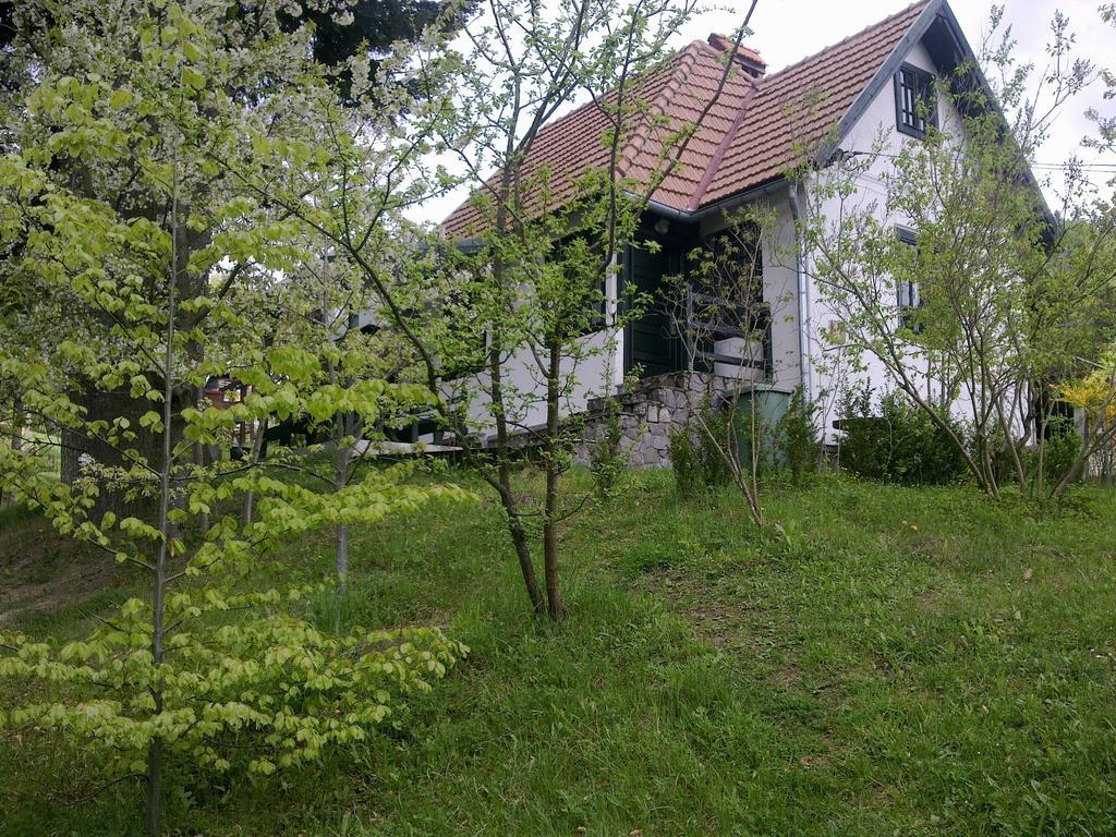 Villa Casa Gabriela à Sinaia Chambre photo