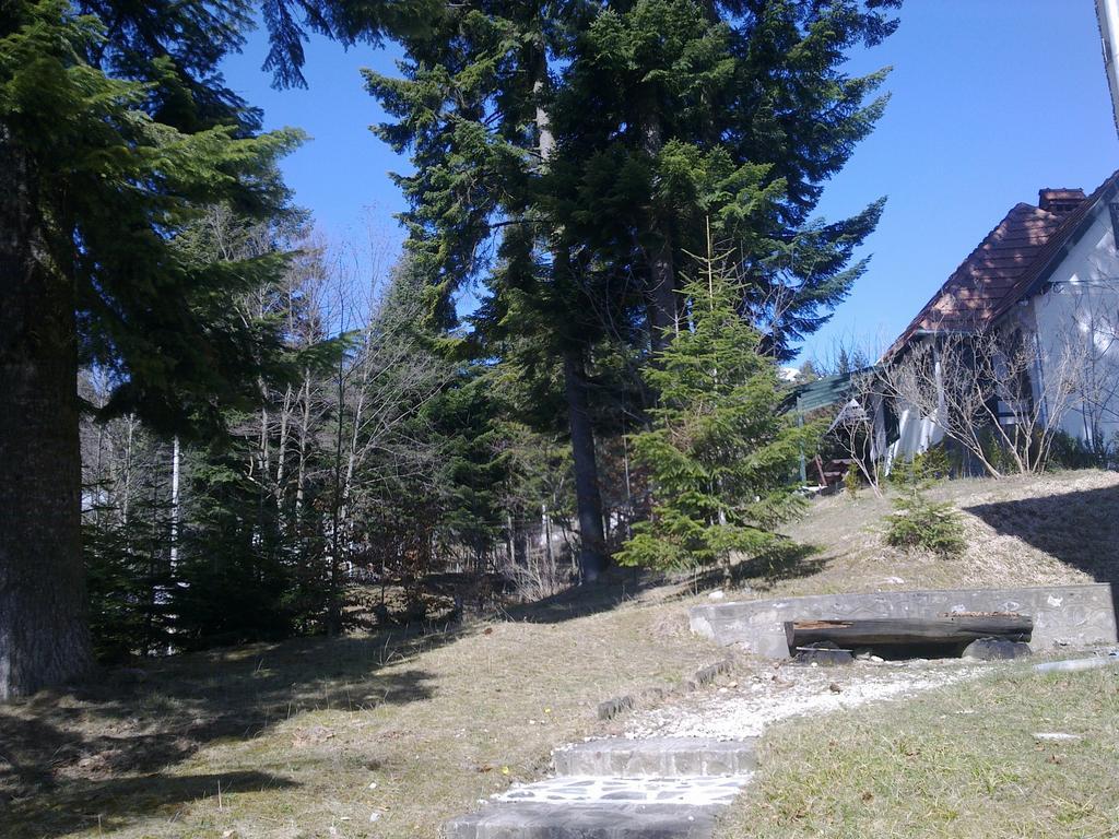 Villa Casa Gabriela à Sinaia Chambre photo