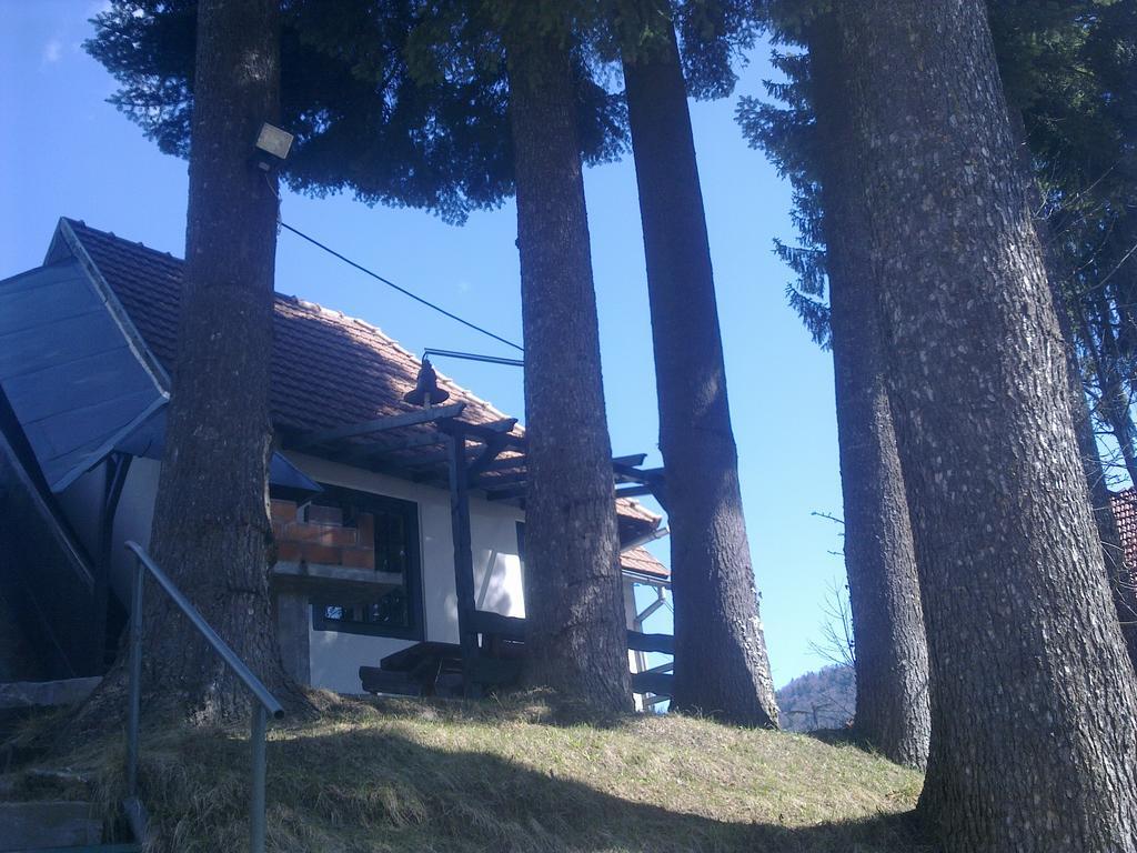 Villa Casa Gabriela à Sinaia Chambre photo