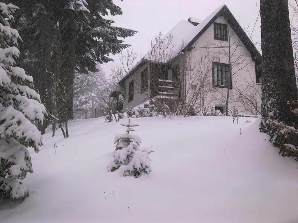 Villa Casa Gabriela à Sinaia Chambre photo